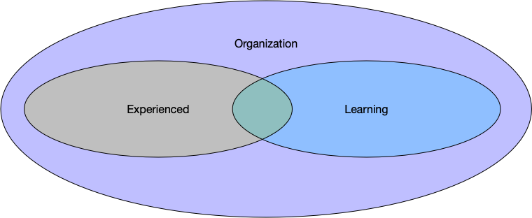 Your experienced and learning tasks are entirely within the organization’s known skills.